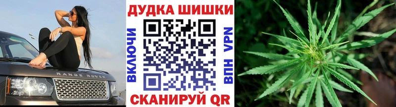 где найти   Заполярный  Каннабис план 